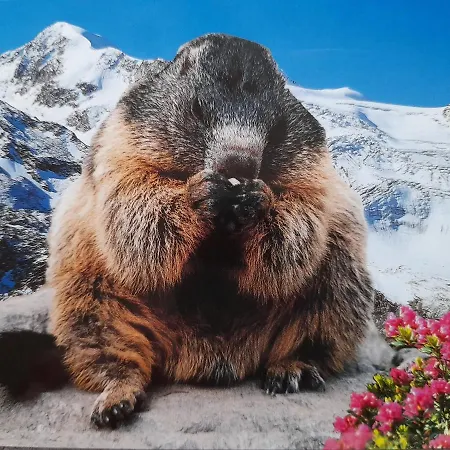 Lejlighed Hochmuth Ramsau im Zillertal