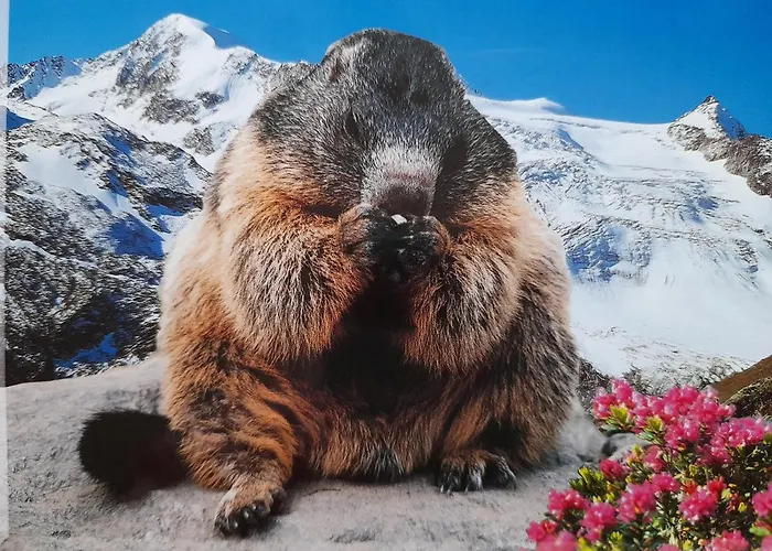 Apartman Hochmuth Ramsau im Zillertal